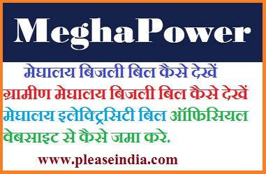 Google Pay के जरिये मोबइल से घर बैठे Meghalaya Electricity Bill Online कैसे देखें