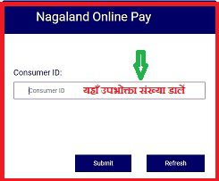 Nagaland Bijli Bill Online Check