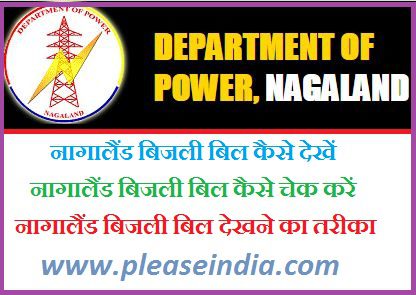 Nagaland Electricity Bill Online Check Kaise Kare