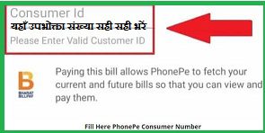 Phone Pe से Nagaland Bijli Bill चेक करने का तरीका